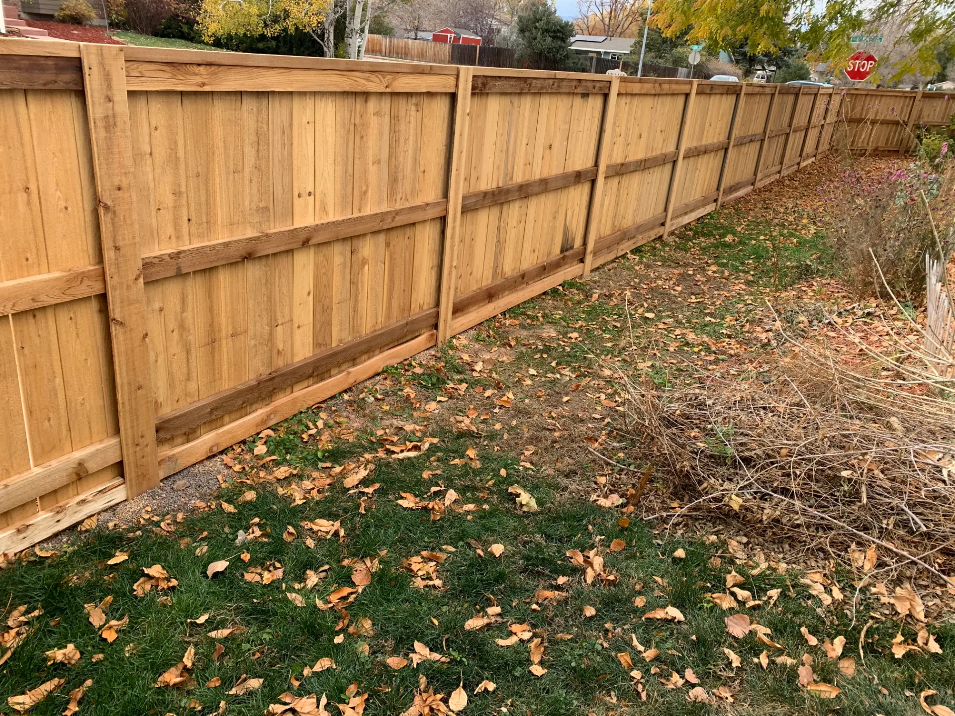 Long cedar board-on-board privacy fence bordering a residential backyard in autumn