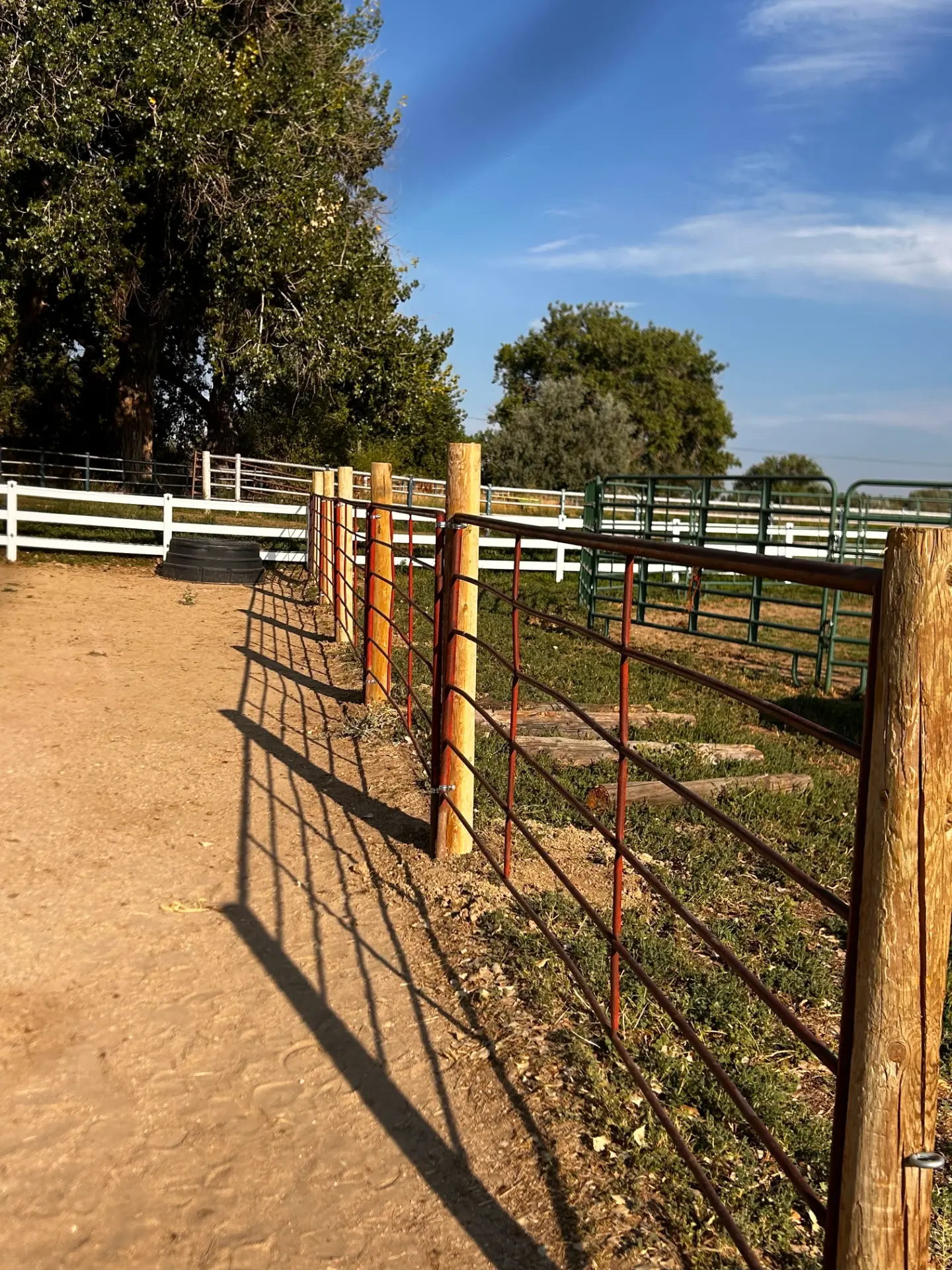 Metal livestock panels secured to fresh wood posts at a ranch property
