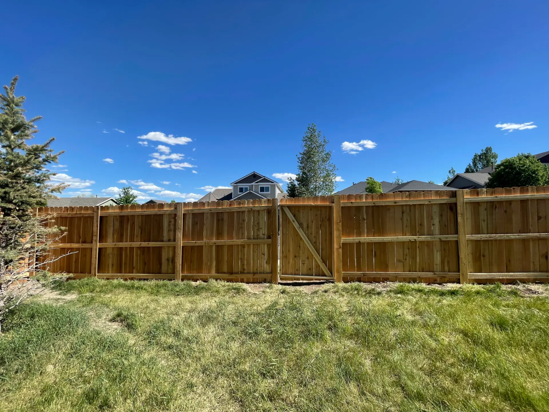 Wood privacy fence and matching gate viewed from inside a backyard